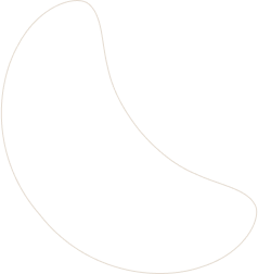 layout-slider1-02