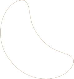 layout-slider2-02
