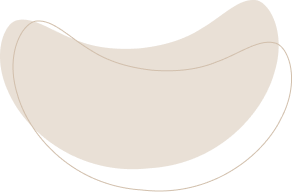 layout-slider2-03